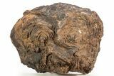 Polished Neoproterozoic Stromatolite (Conophyton) - Morocco #334948-2
